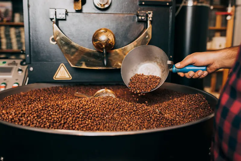 Caffè appena tostato